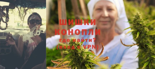 стаф Кулебаки