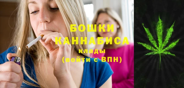 стаф Кулебаки
