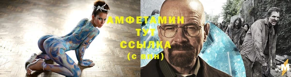 стаф Кулебаки