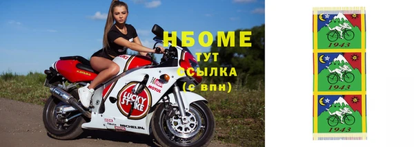 стаф Кулебаки