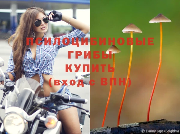 не бодяженный Кукмор