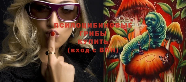 стаф Кулебаки