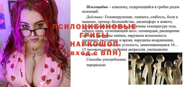 стаф Кулебаки